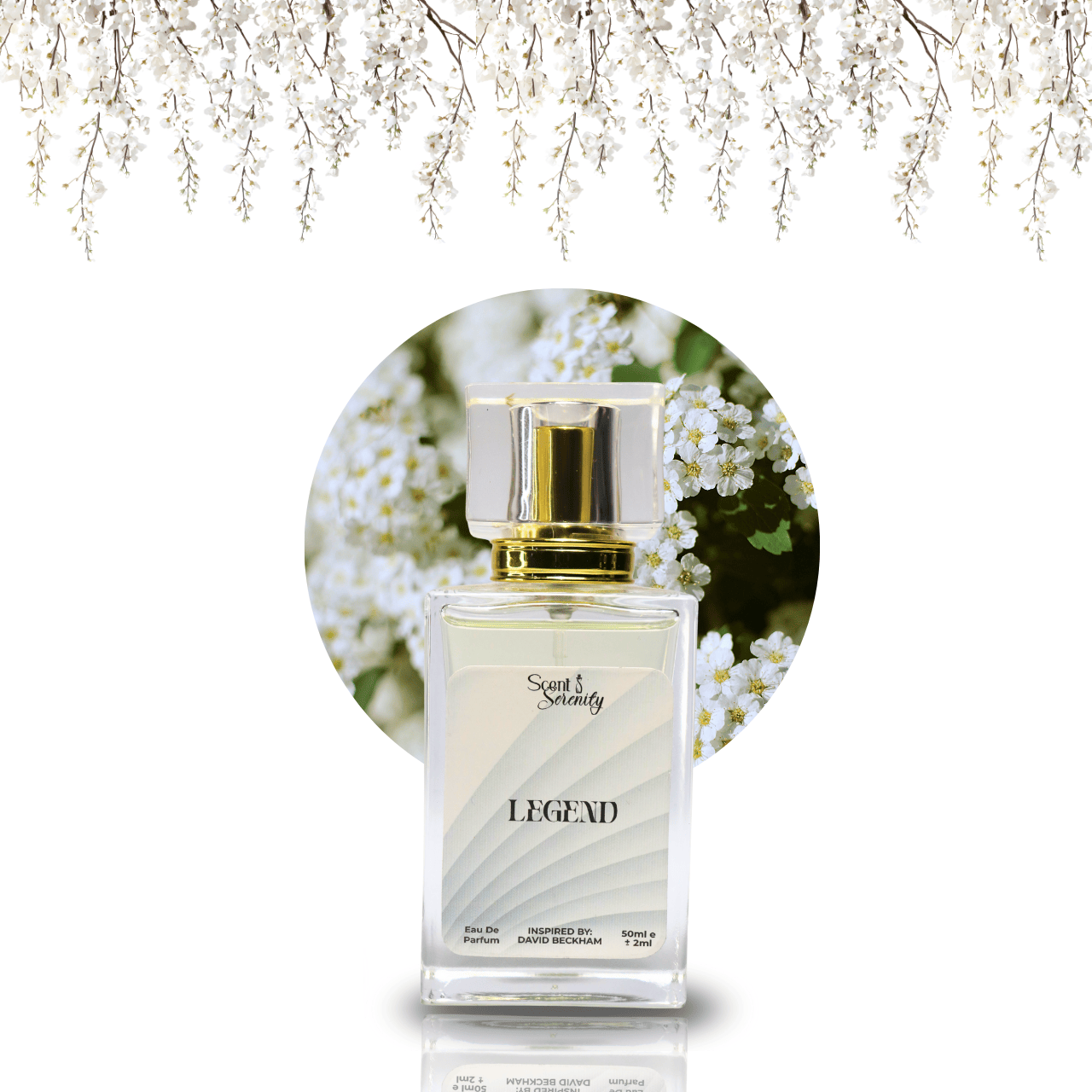 Scent n Serenity legend perfume